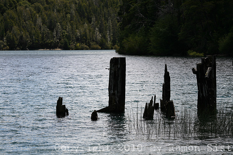 IMG_4038.jpg
