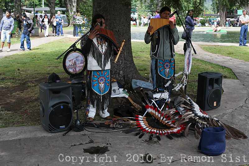 IMG_4155.jpg