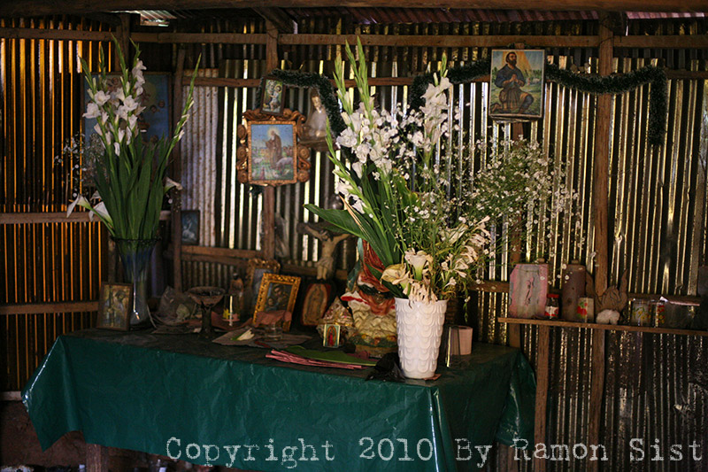 IMG_5179.jpg