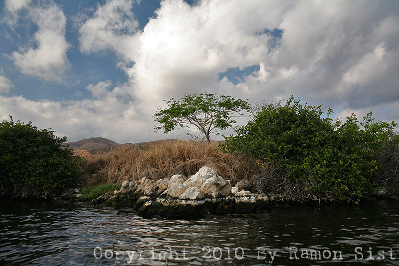 IMG_5338.jpg