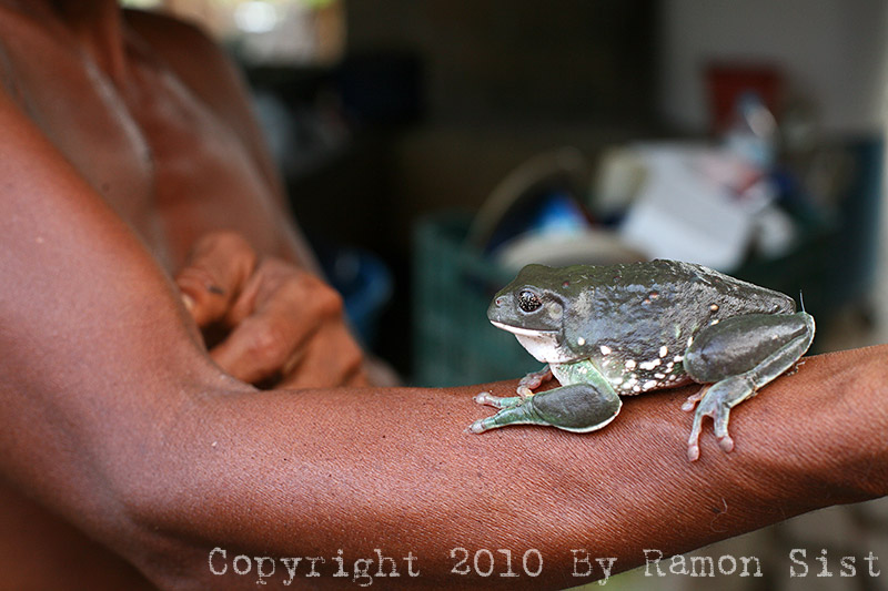 IMG_5373.jpg