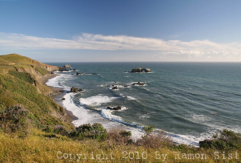 IMG_5631.jpg