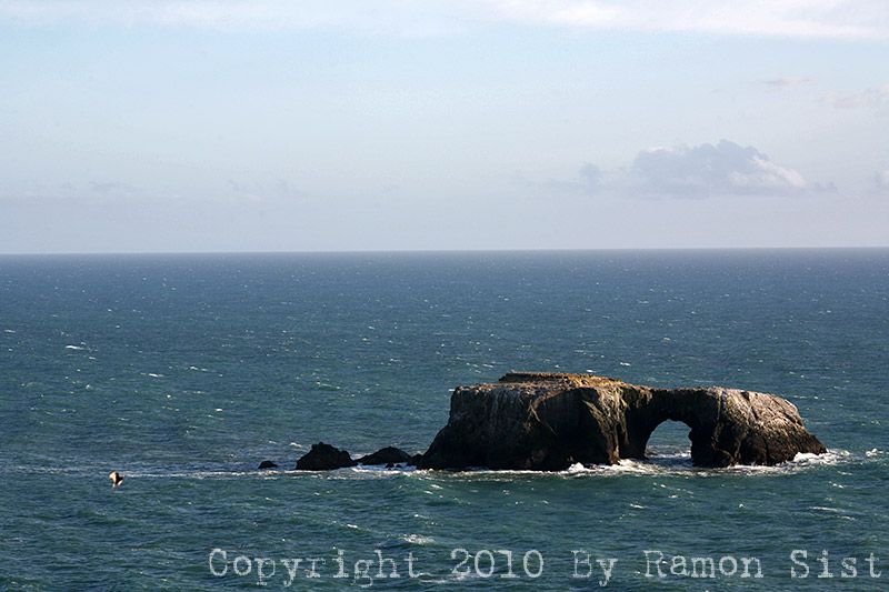 IMG_5633.jpg