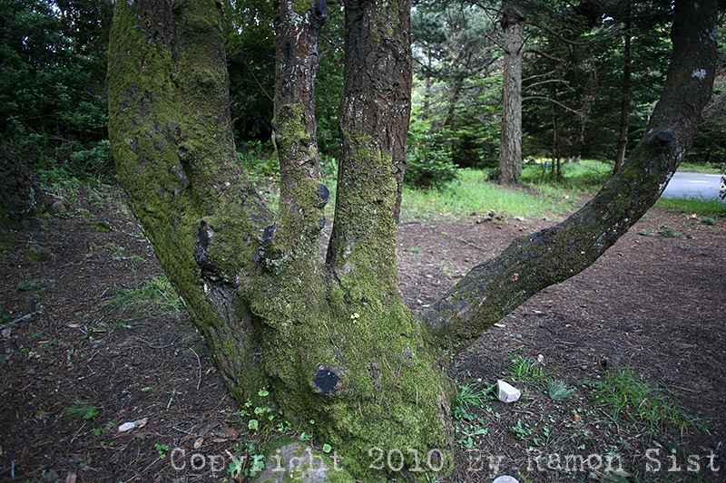 IMG_5639.jpg