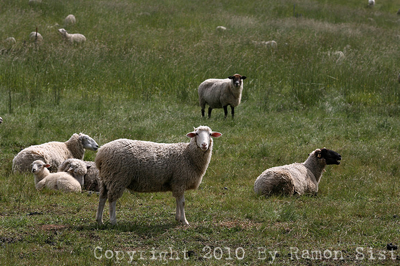 IMG_5645.jpg