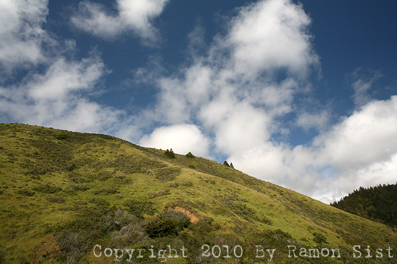 IMG_5692.jpg