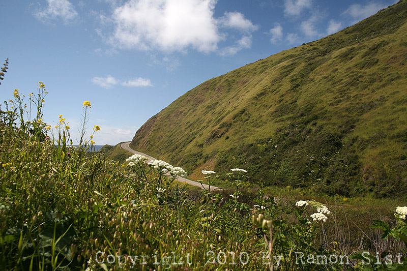 IMG_5694.jpg