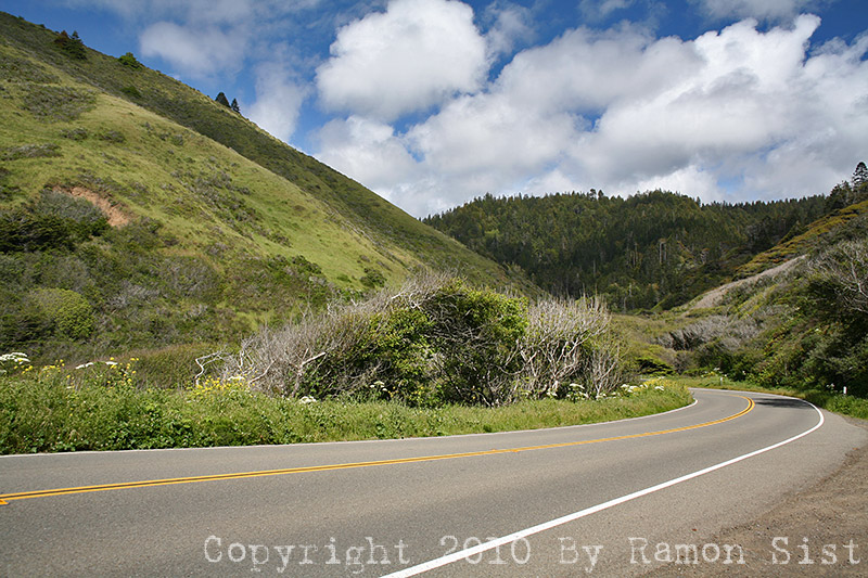 IMG_5695.jpg