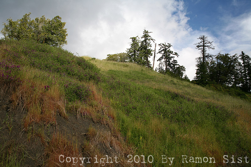 IMG_5710.jpg