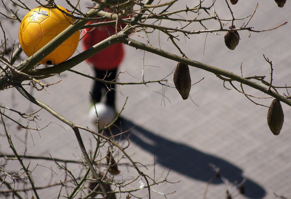 balones y frutos