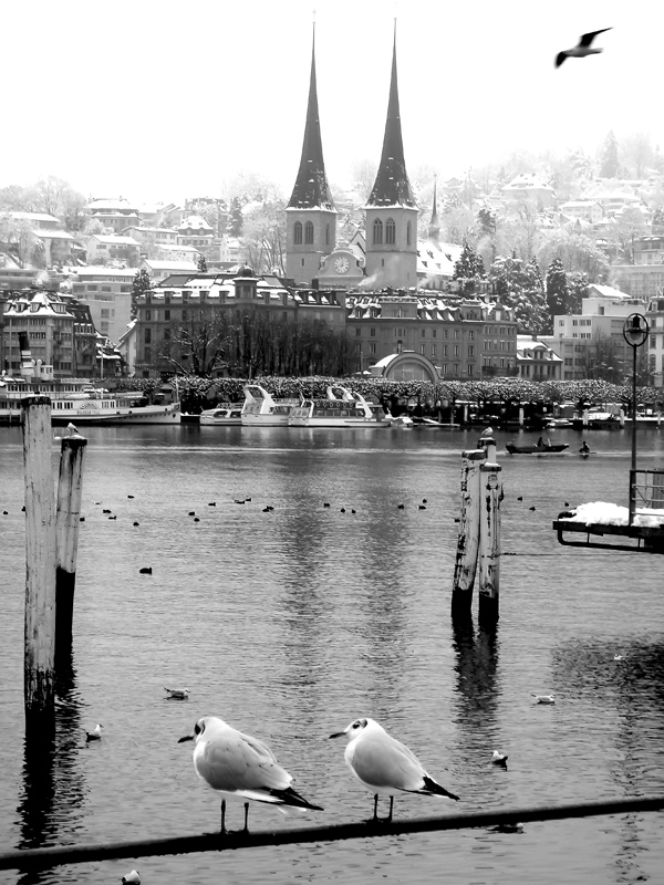 Luzern_Switzerland_180086.jpg