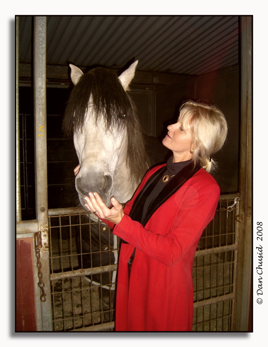 Holiday Party At The Horse Farm