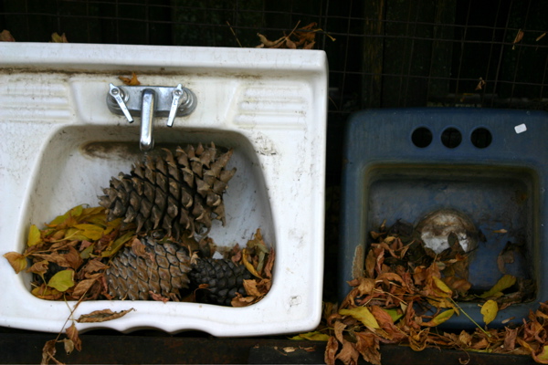 Two Sinks