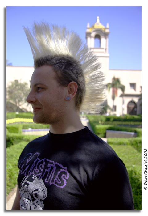 Spiked Mohawk
