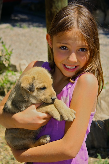 Young Girl With Her Dog