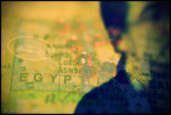 The traveller