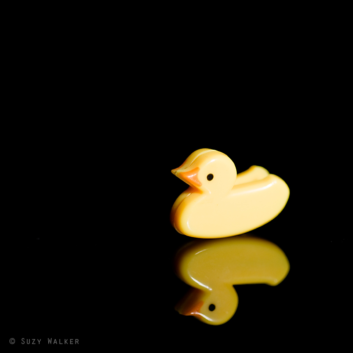 Ducky