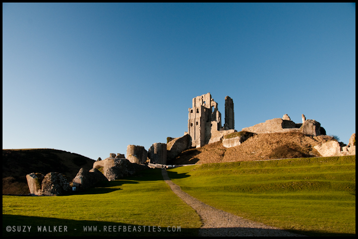 Corfe Castle