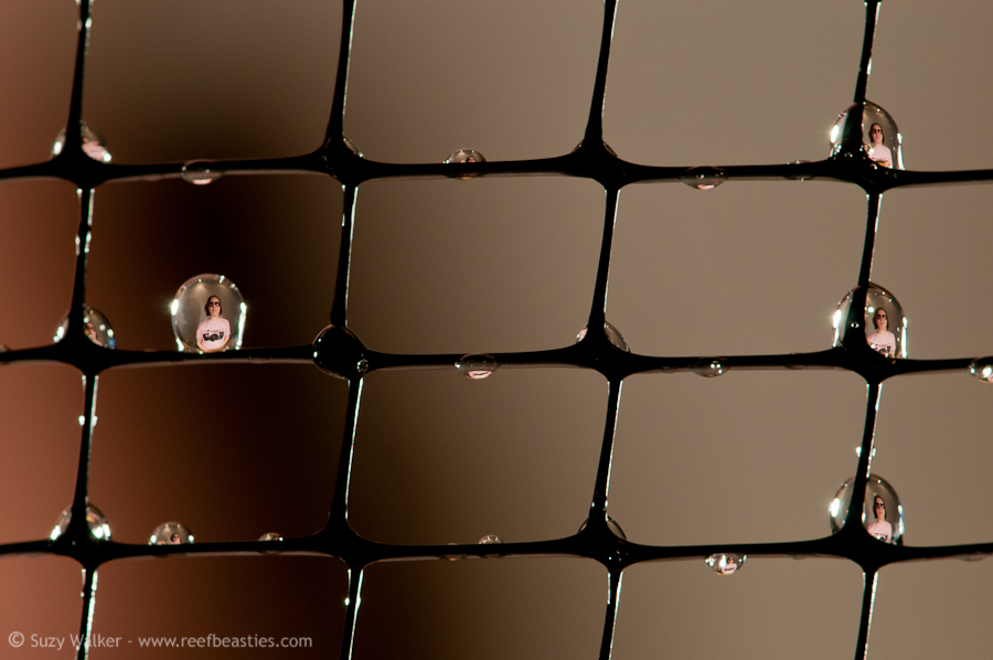 Self Portrait in water drops