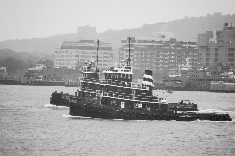IMGP8023.JPG