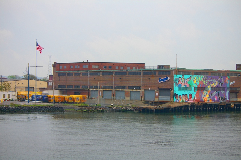 IMGP8251.JPG
