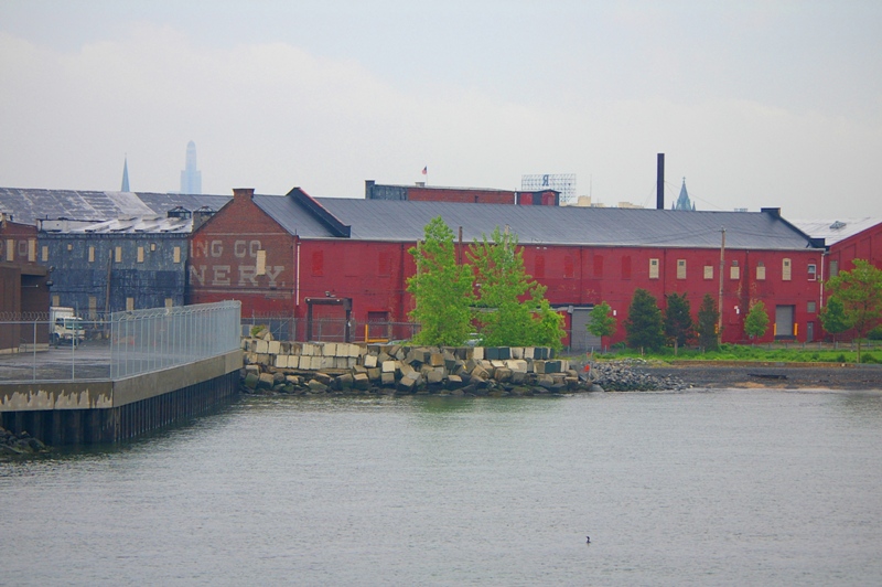 IMGP8254.JPG