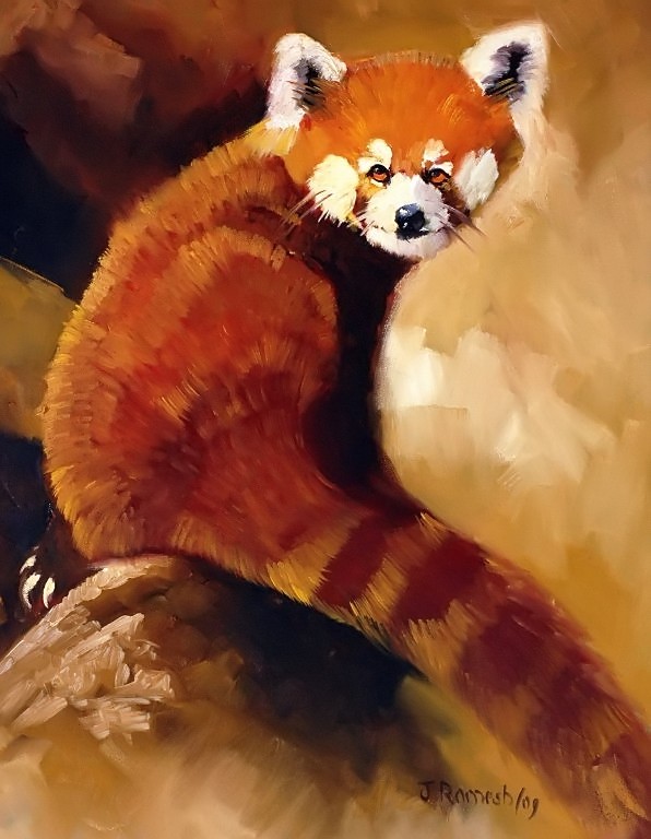 REDPANDA