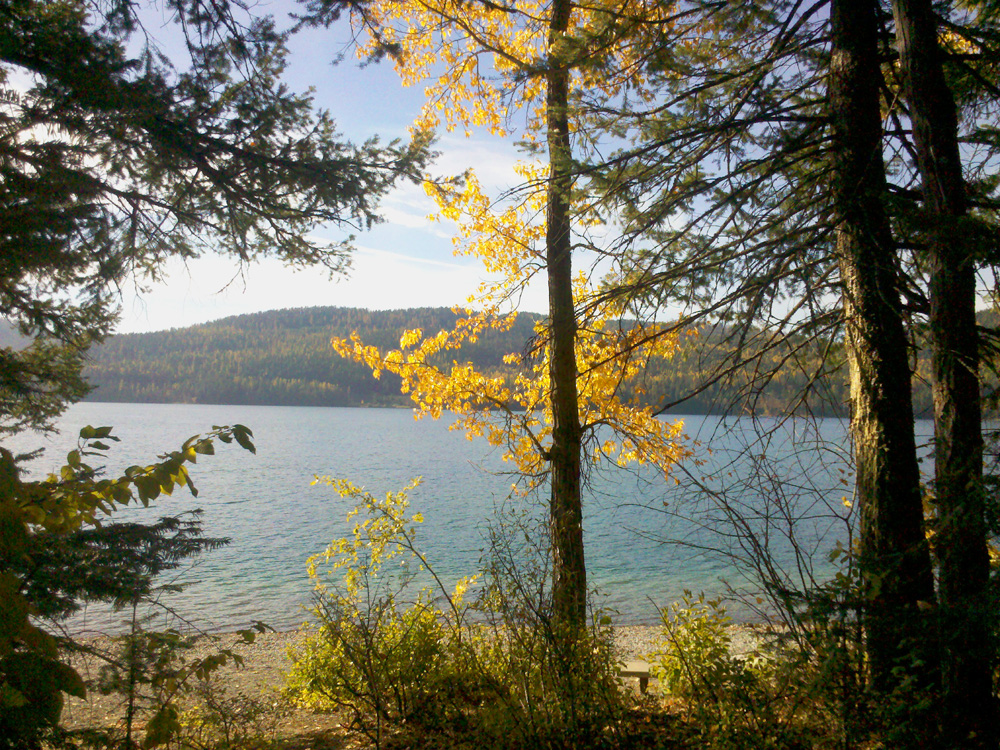 Whitefish Lake