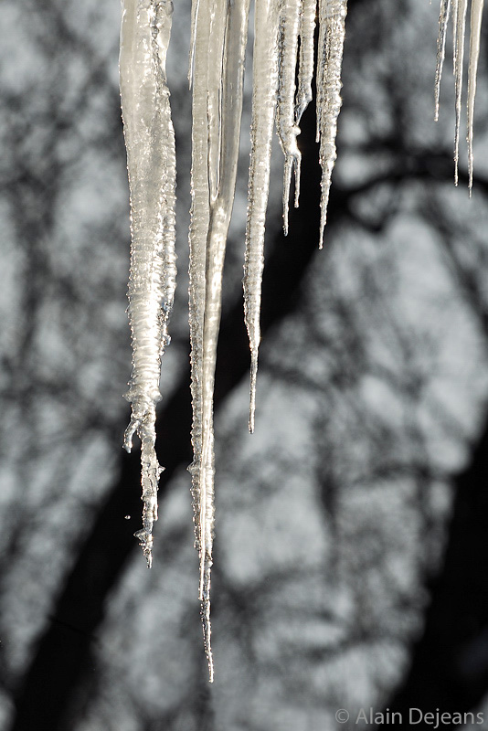 Stalactite