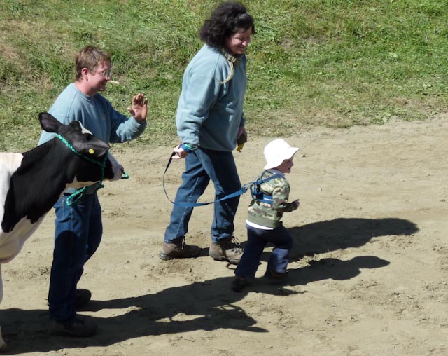 Leashes.jpg