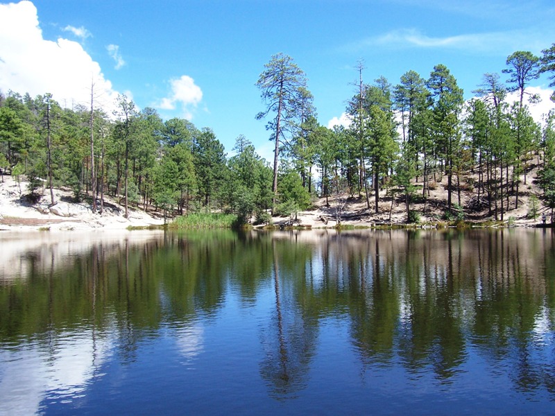 Rose Canyon Lake, Mount Lemmon, AZ