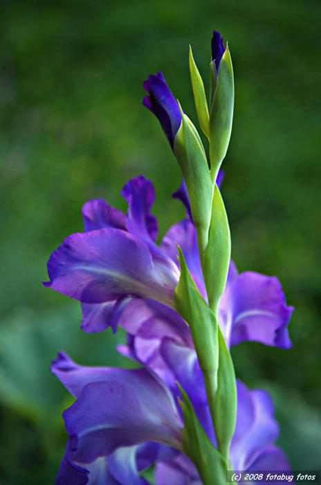 D3-082808-214.jpg