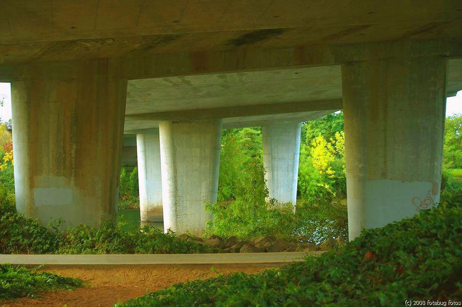Under Washington/Jefferson Bridge