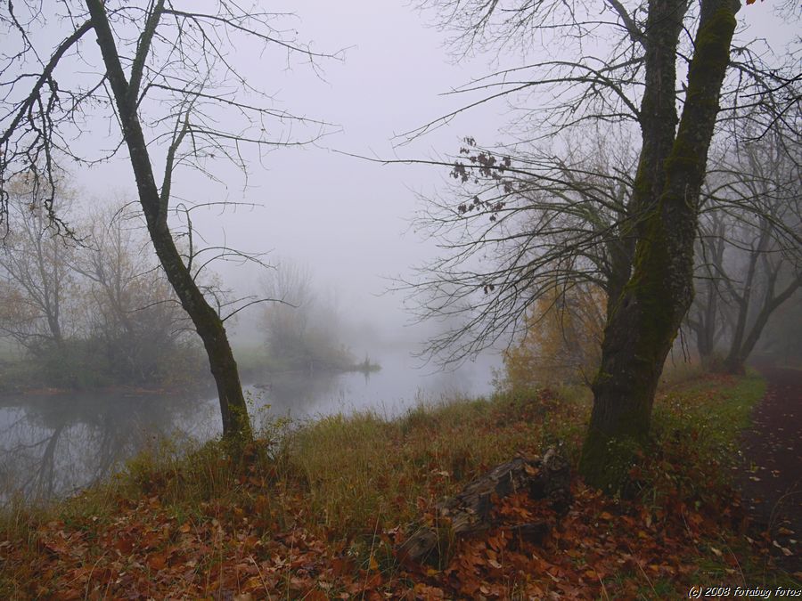 G1-112408-013.JPG