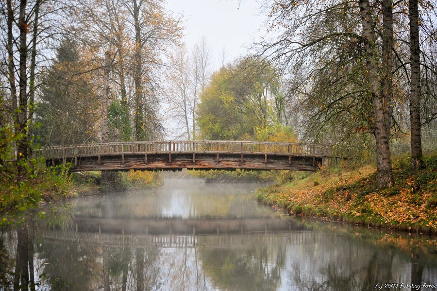 Bridge at Alton Baker Park