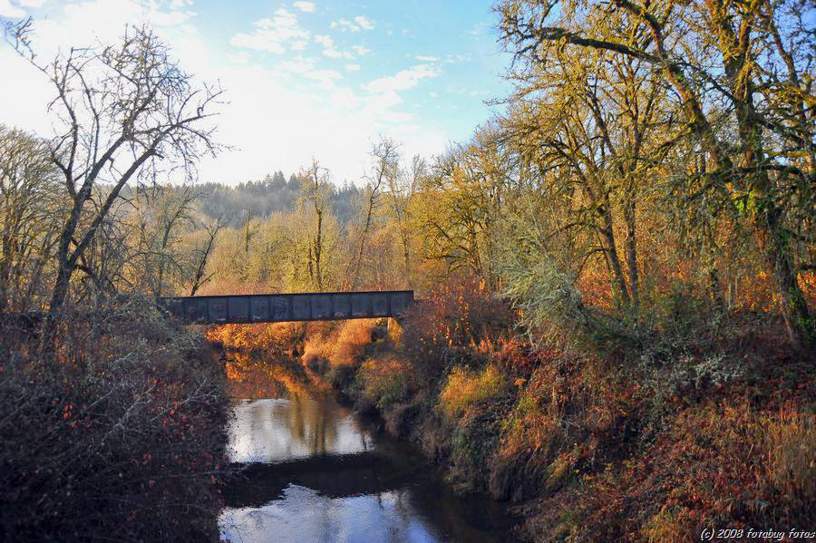 Railroad Bridge along Oregon Hwy 126