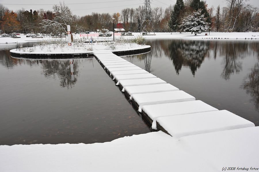 Stark Contrasts - Alton Baker Pond