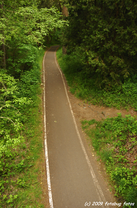 D2x-052309_087.jpg
