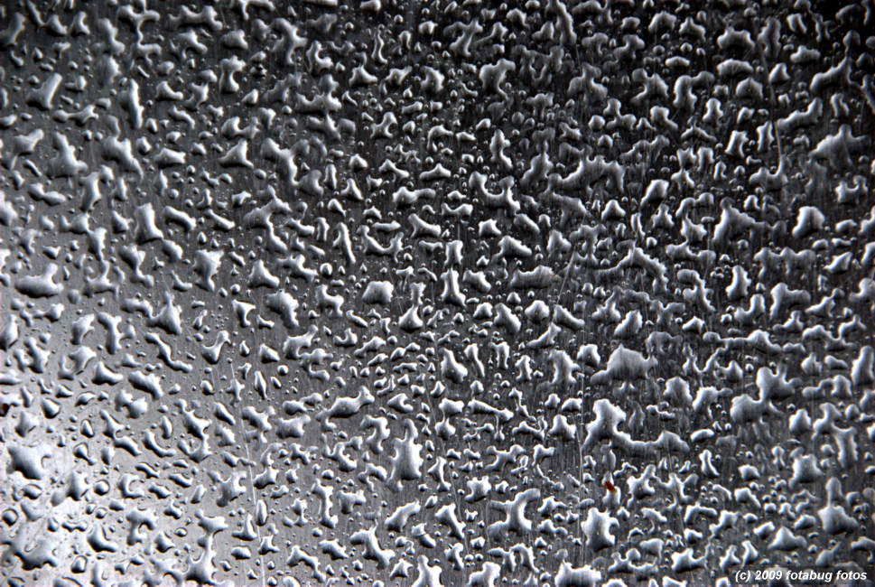 D200-091909_096.jpg