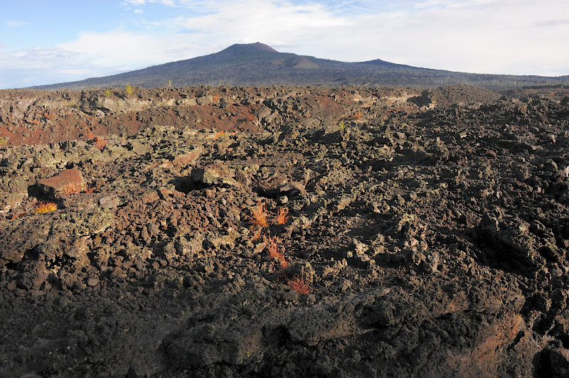 Lava Beds with Belknap Crater in the background