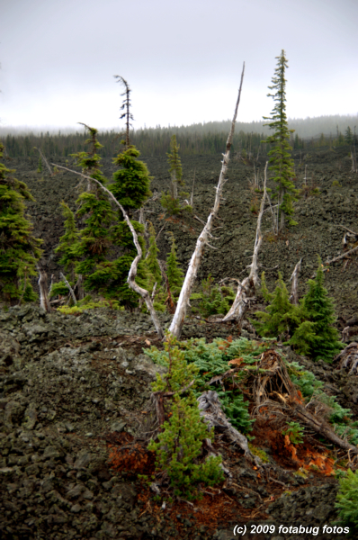 D3-100209_219.jpg