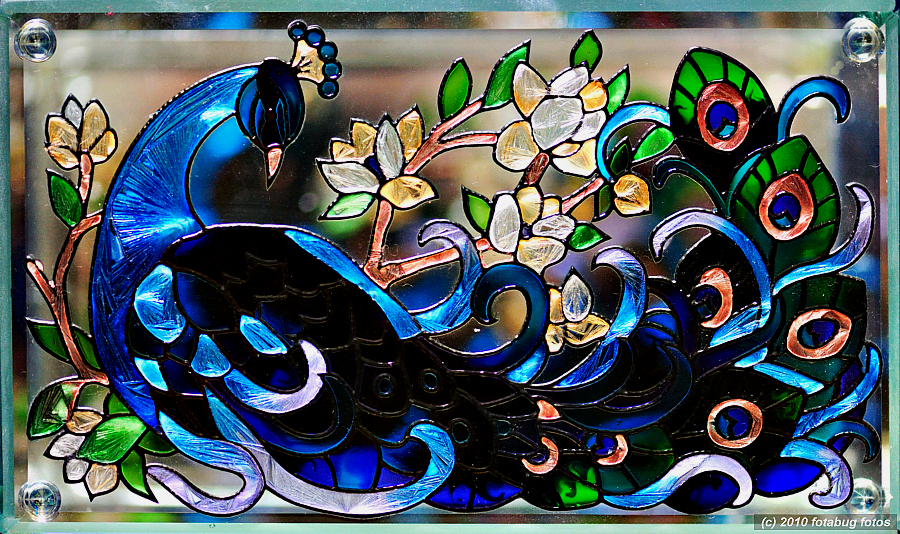Peacock on Glass
