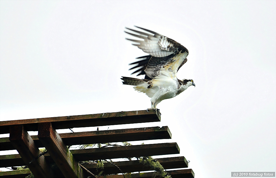 Cleared For Takeoff