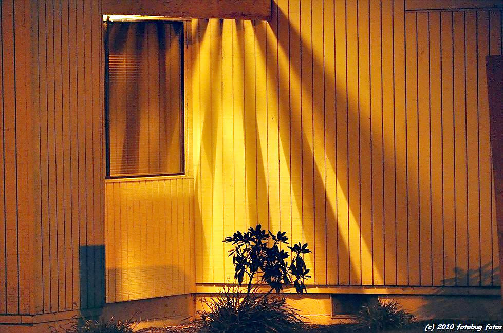 Shafts of Light & Darkness