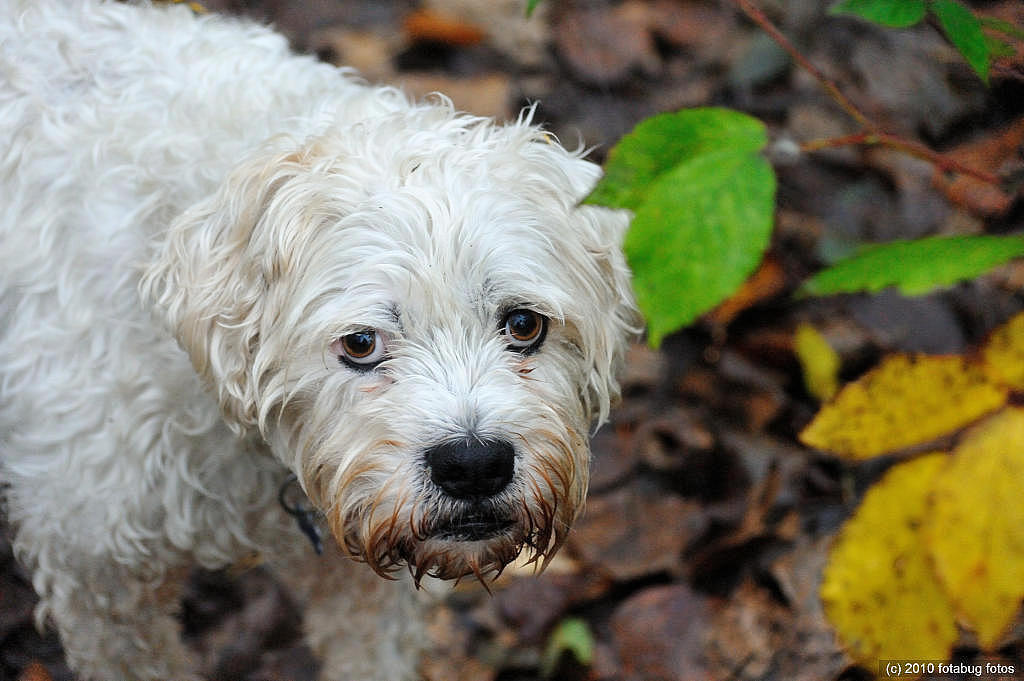 Someone I Met On A Wet Day