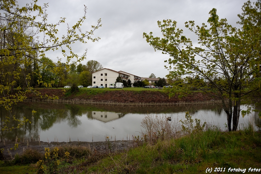 D700-042611-158.jpg