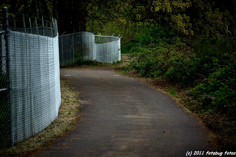 D3-050211-125.jpg
