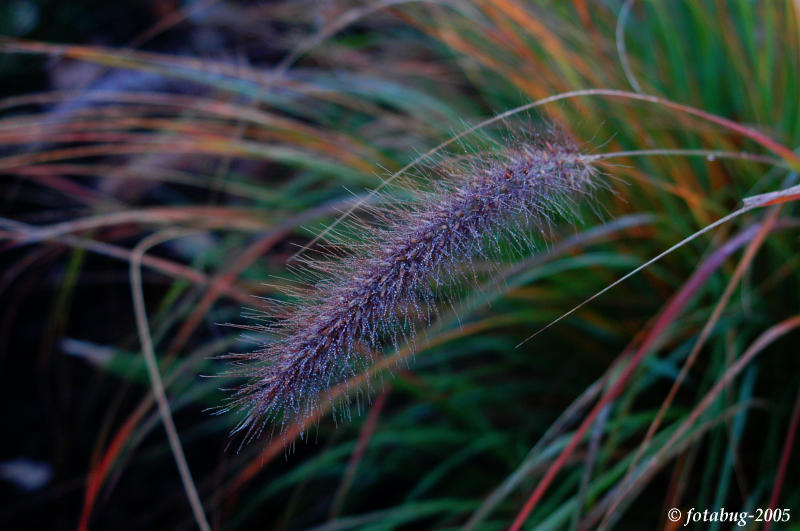 Loved the color and morning light