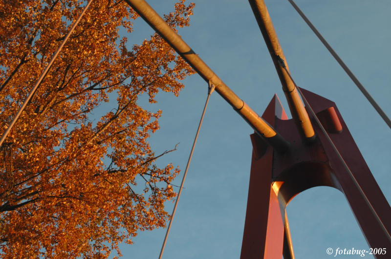Bridge work