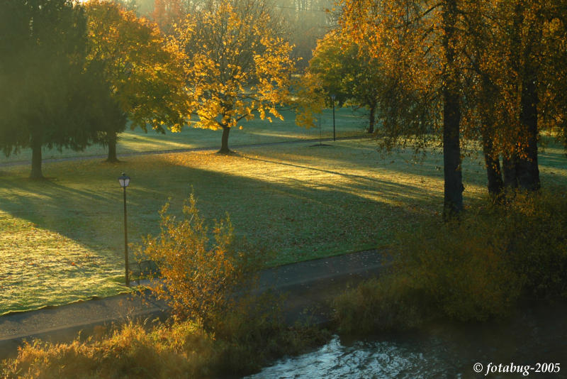 Color in the park